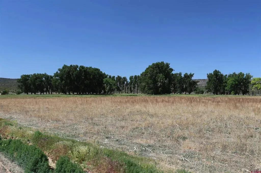 Property from TBD Shavano Valley Road - KW
