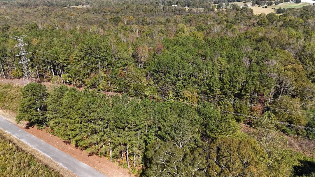 9 Acre Rural Homesite Sand Rock