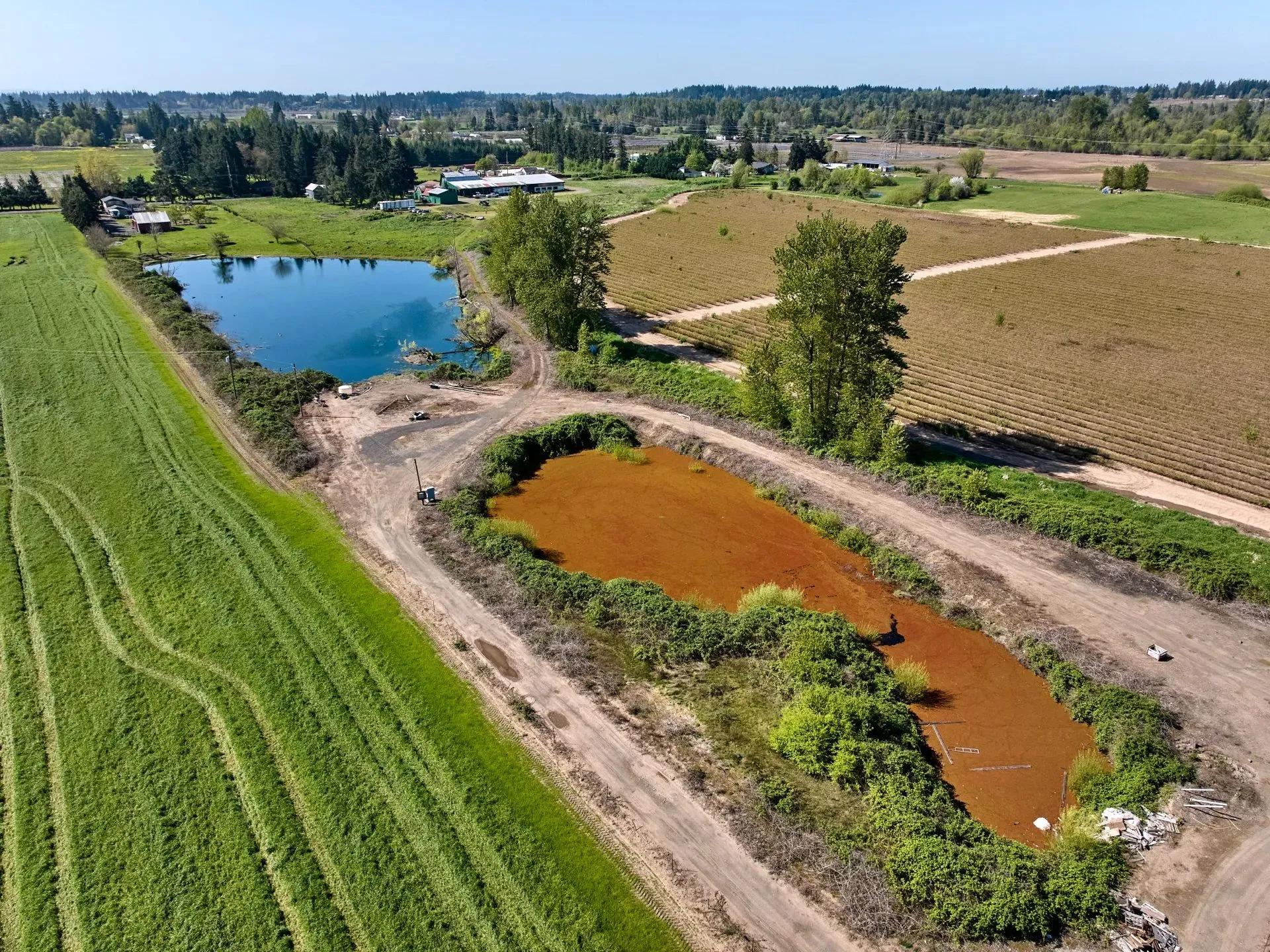97176413-10