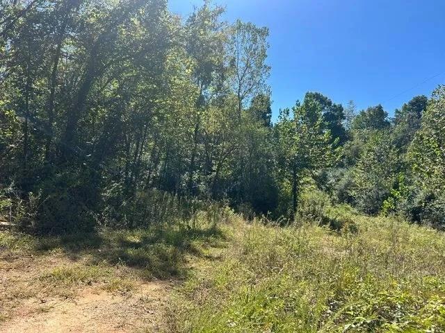 Seven Acres With County Road Frontage