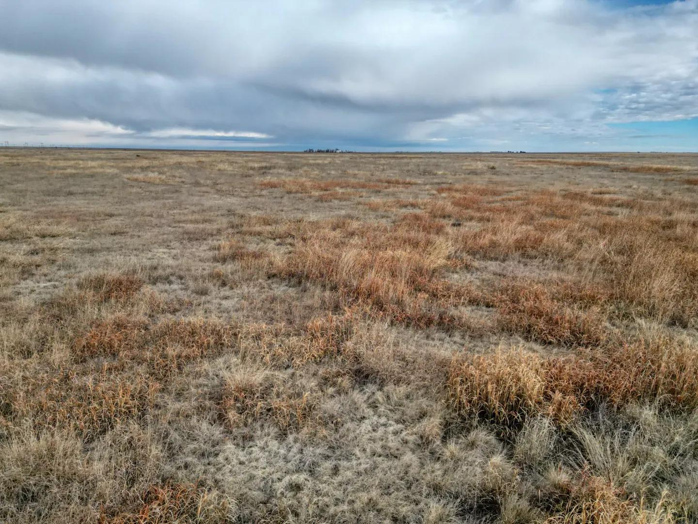 0338_HDR