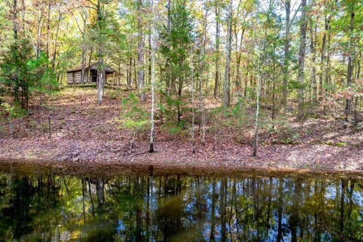 Reeder Tree Farm