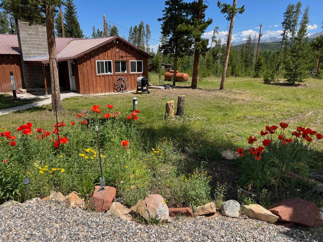 Sky View Cabin