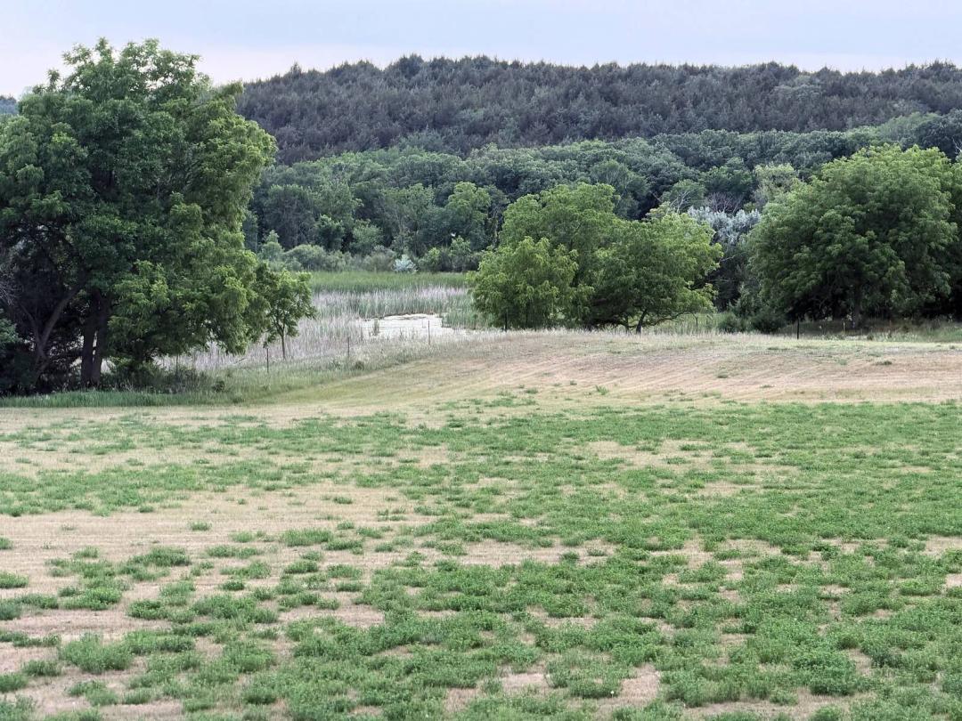 Recreational Land with Verdigre Creek, Wetlands, Timber &amp; Potent