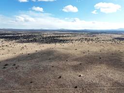 DJI_20250127110625_0973_D-min-min