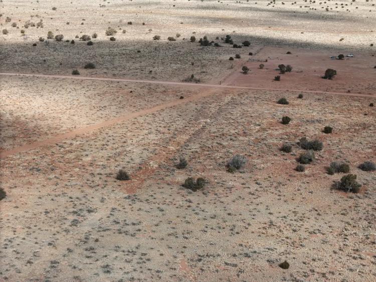 Wide-Open 4.77 Acres in Williams, AZ – No Crowds, Just Fresh Air & Desert Views