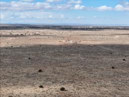 DJI_20250127111126_0998_D-min-min