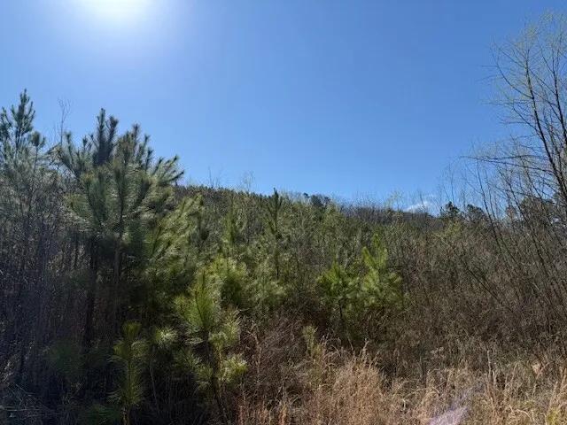 97293965-0