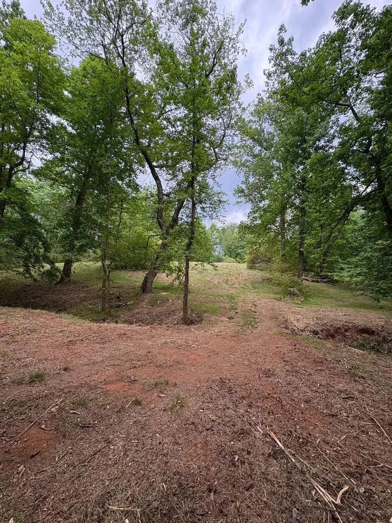 18 +/- Acres- Lula, Georgia