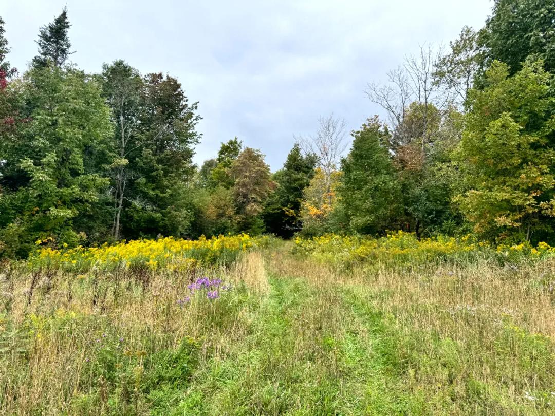Trailside North Country Retreat