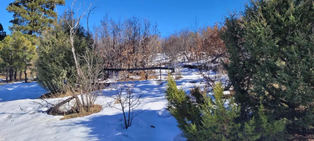 Sherwood Forest 1 acre near Torreon New Mexico - Base of the Manzano Mountains