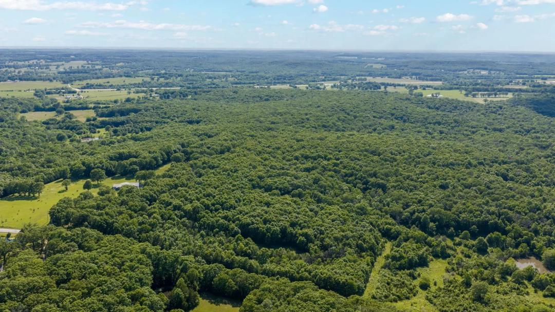 61.47 Acre Turn-Key Recreational Property for Sale – Polk County, MO