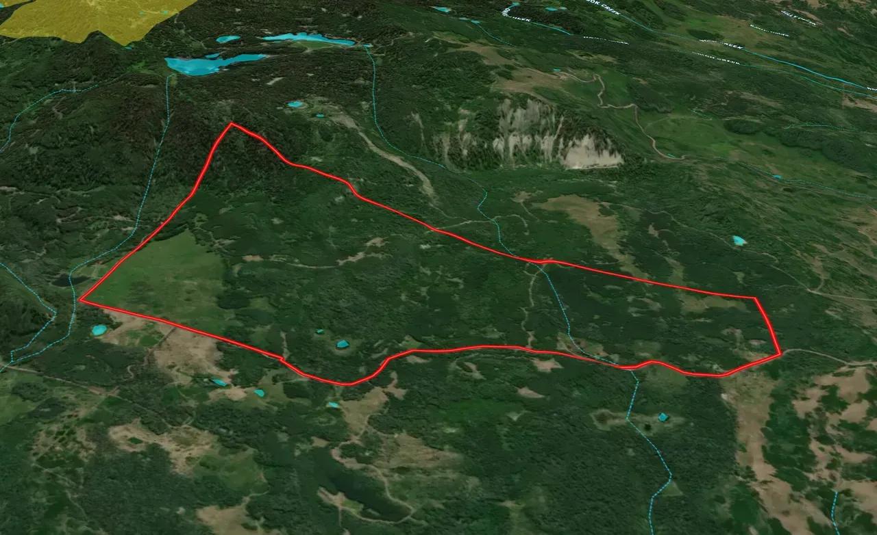 97338652-1