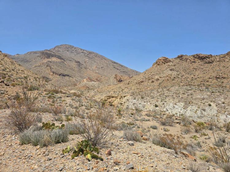 40.00 Acres at 24968 Gate 2 Rd