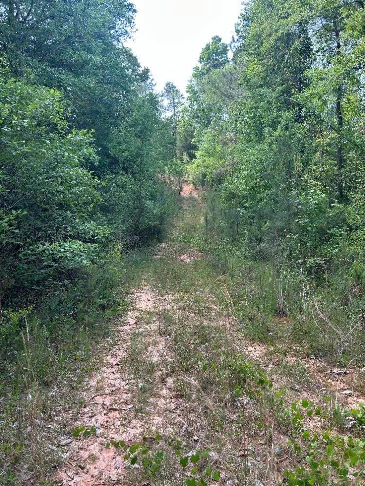 Timberland and Recreational Road access this place is Beautiful
