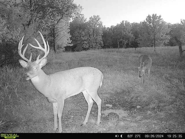 15 Acres of Untouched Beauty - Hunter's Paradise &amp; Future Home
