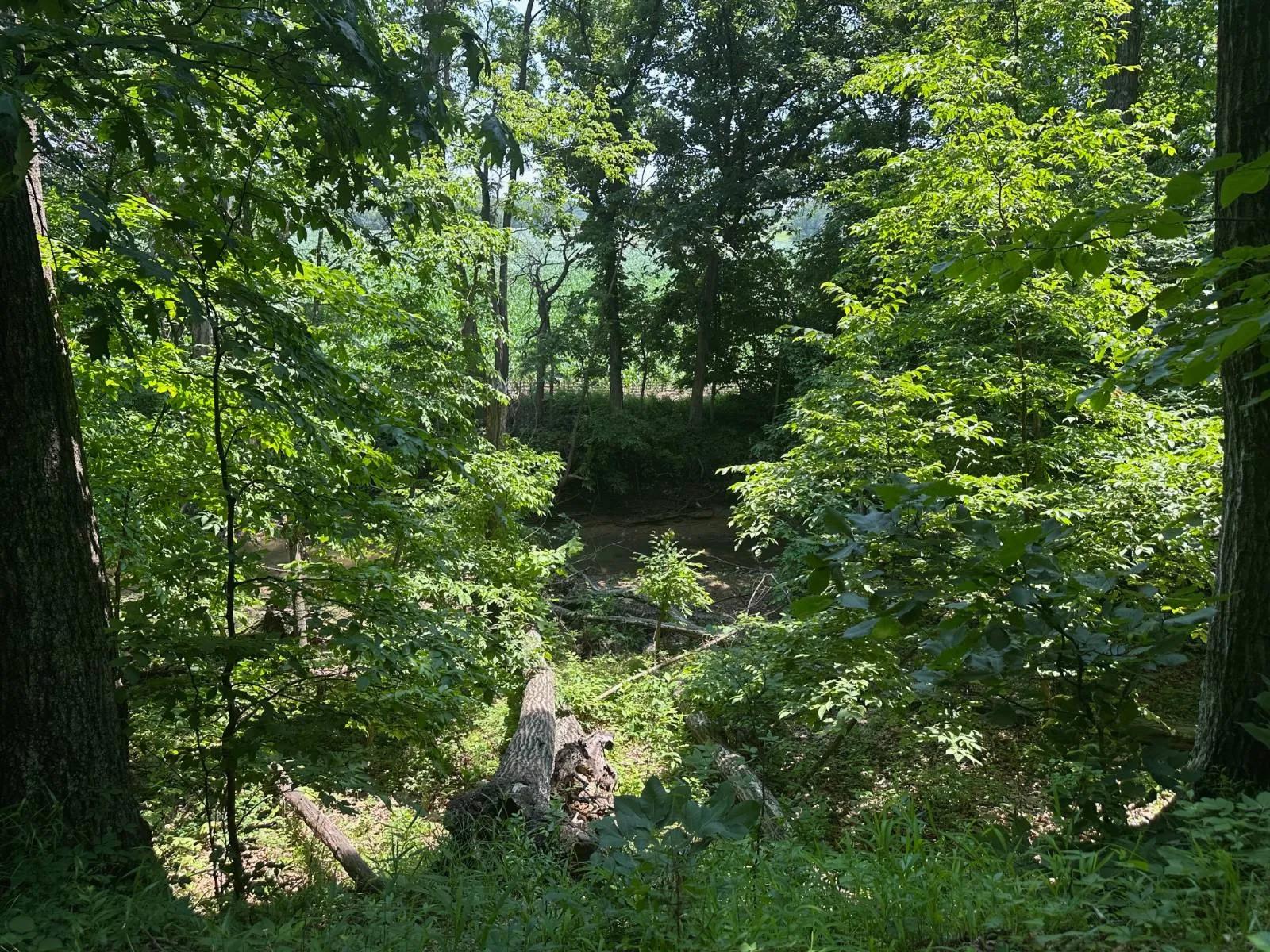 97366782-5