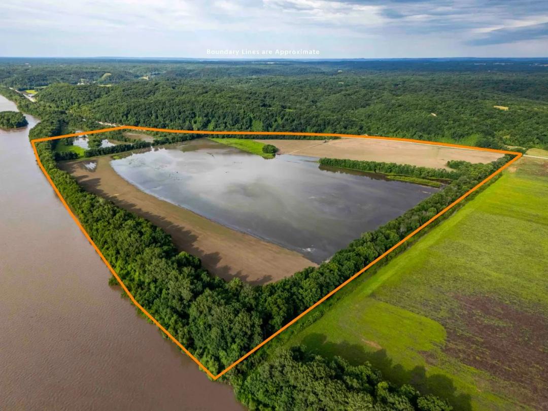 Illinois River Valley Waterfowl & Whitetail Legacy: 195.7± Acres – Calhoun County