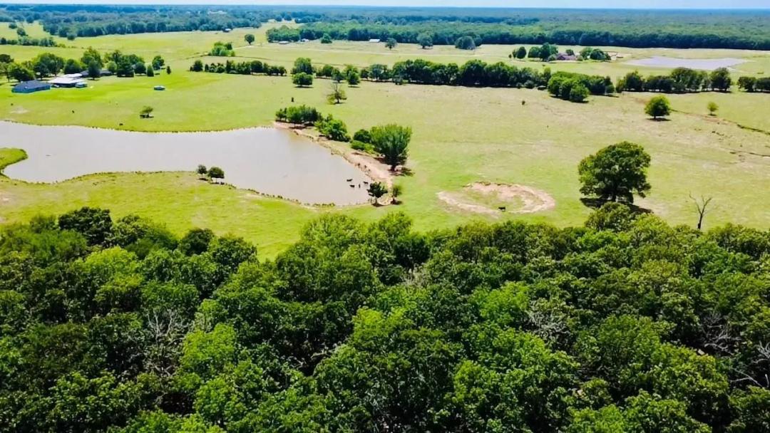 1963 County Road 44750 Blossom, TX 75416