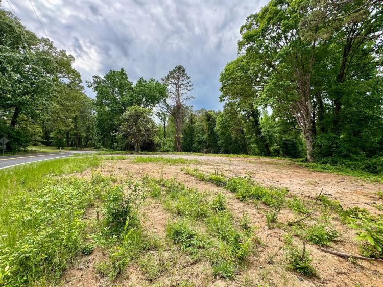 25.91 Acres in Hardeman County, TN 