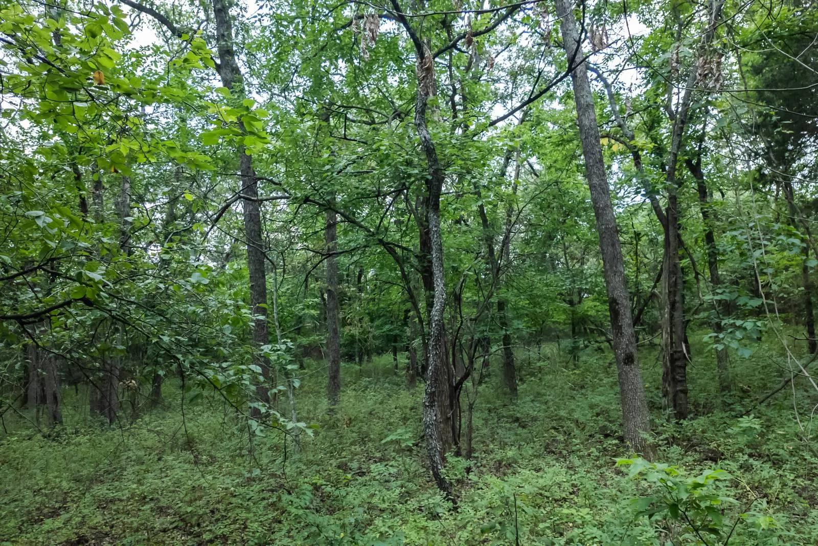 97410384-15