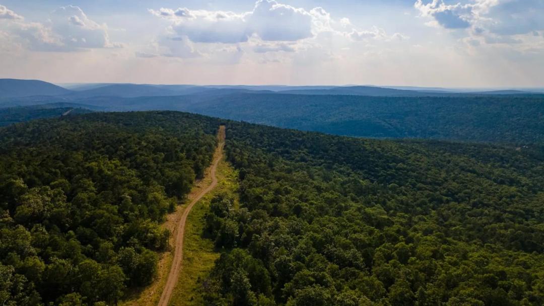 Secluded Mountian Hunting Tract by Lake Sardis