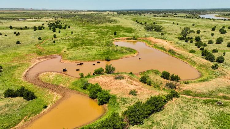 1606± Acres Pasture, Timber, Ponds & More! AUction 9/14!