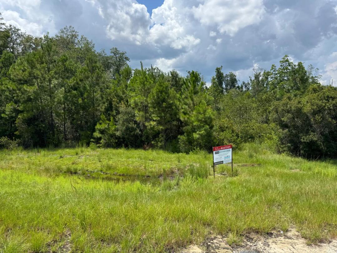 Real Estate Showcase Auction!
