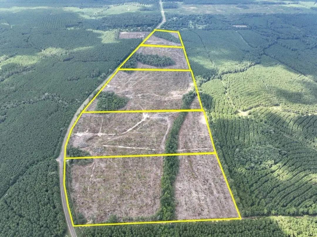 22 Acres | T-5 | FM 92 | 287044-045