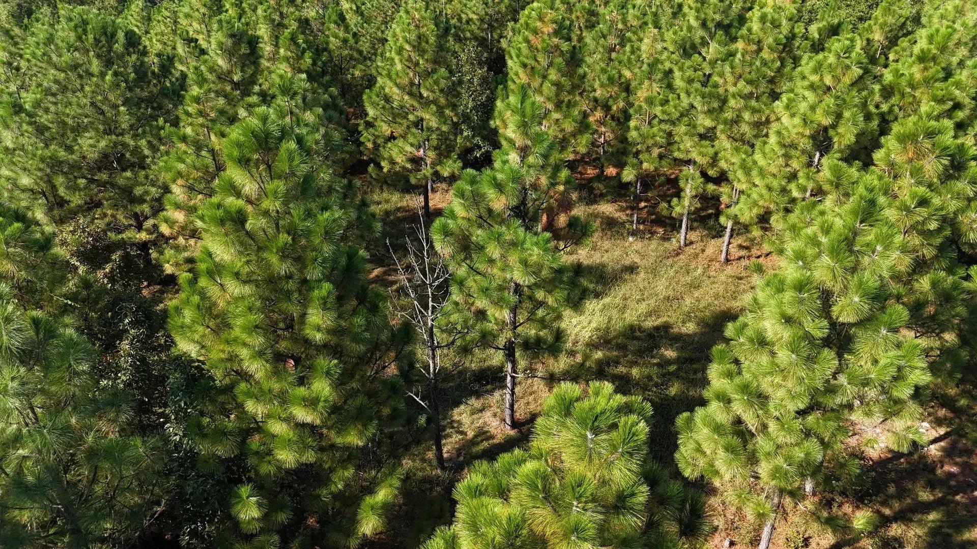 97560986-18