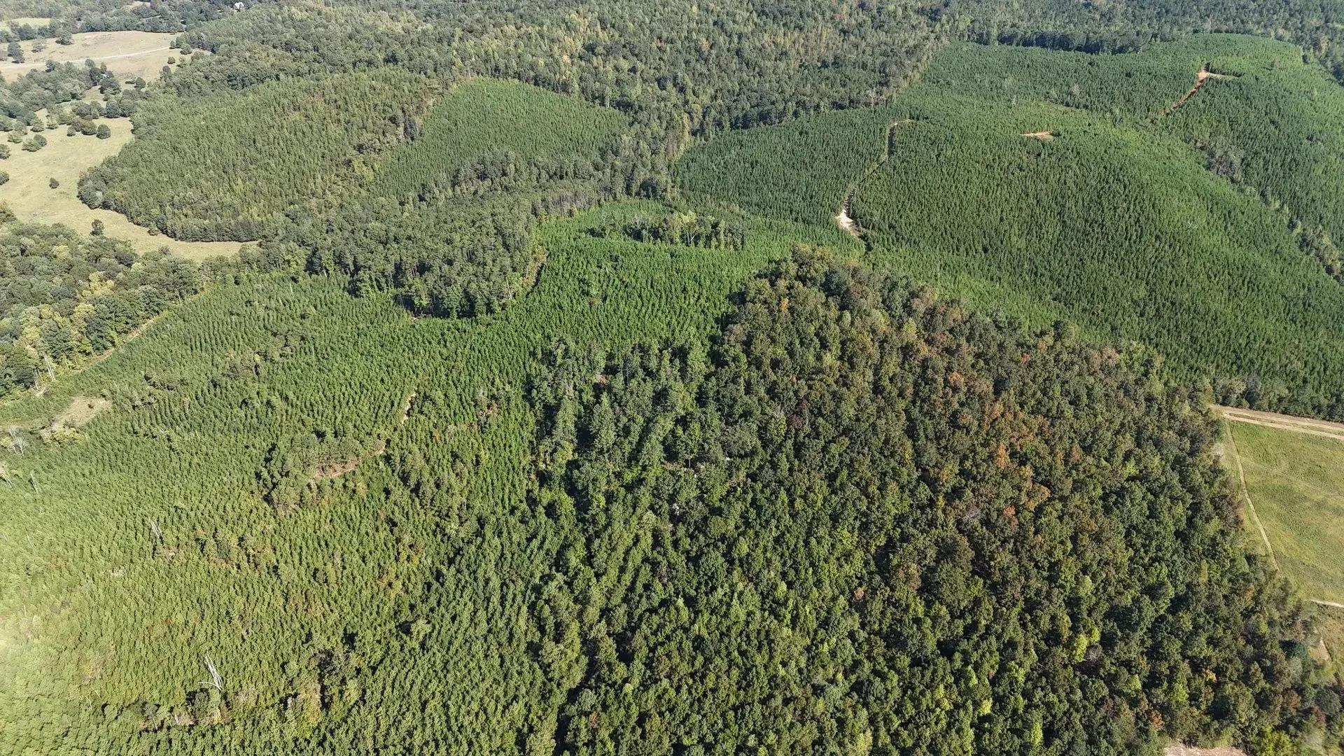 97560986-29