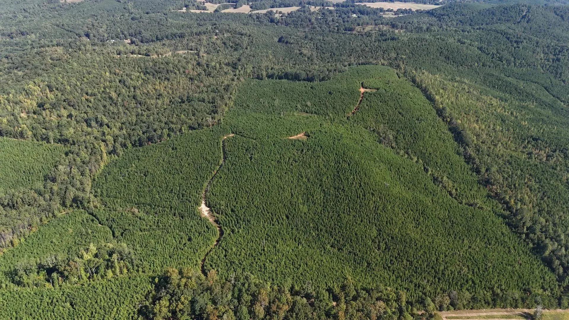 97560986-31