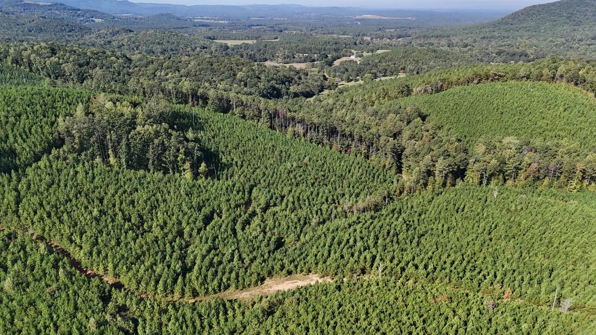 97560986-8