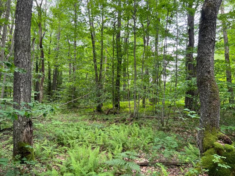 Deer Trail Acres