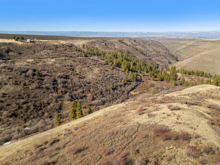 Webb Creek Hunting Ranch