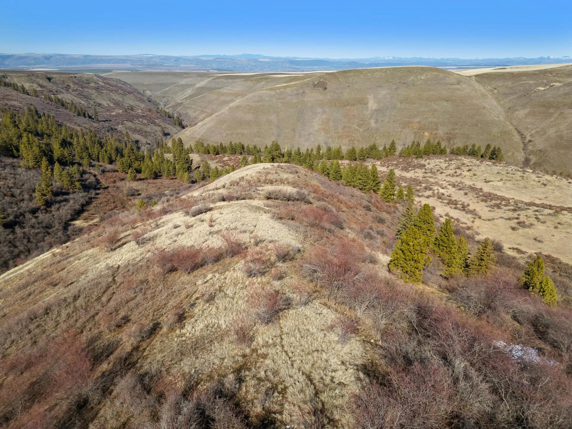 97575745-12
