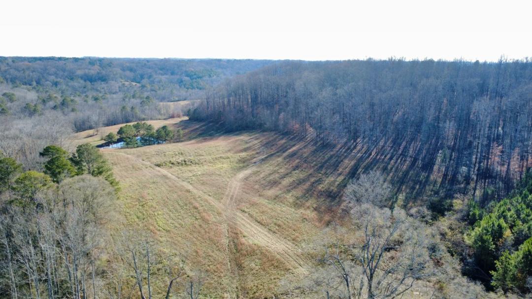 81.00 Acres at 000 county 1171