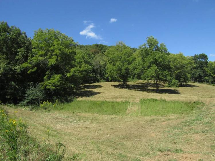 Hartsville Road