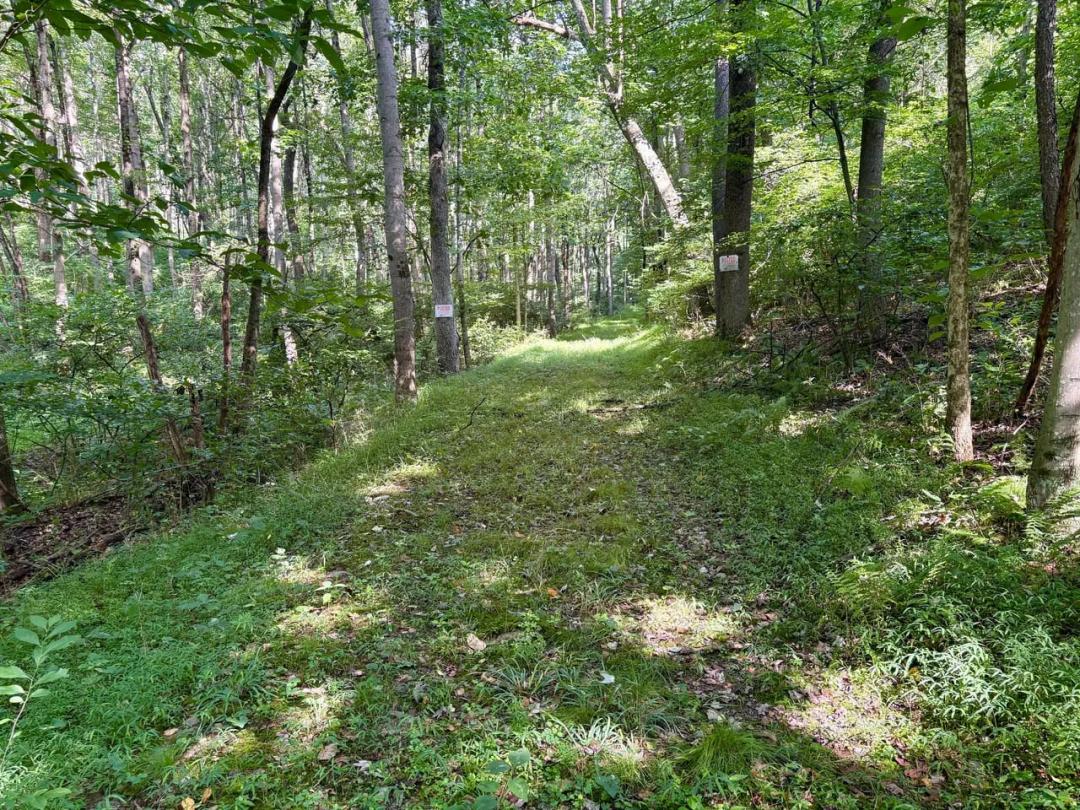 Foxtail Ln., Westmoreland County - 12 ± Acres