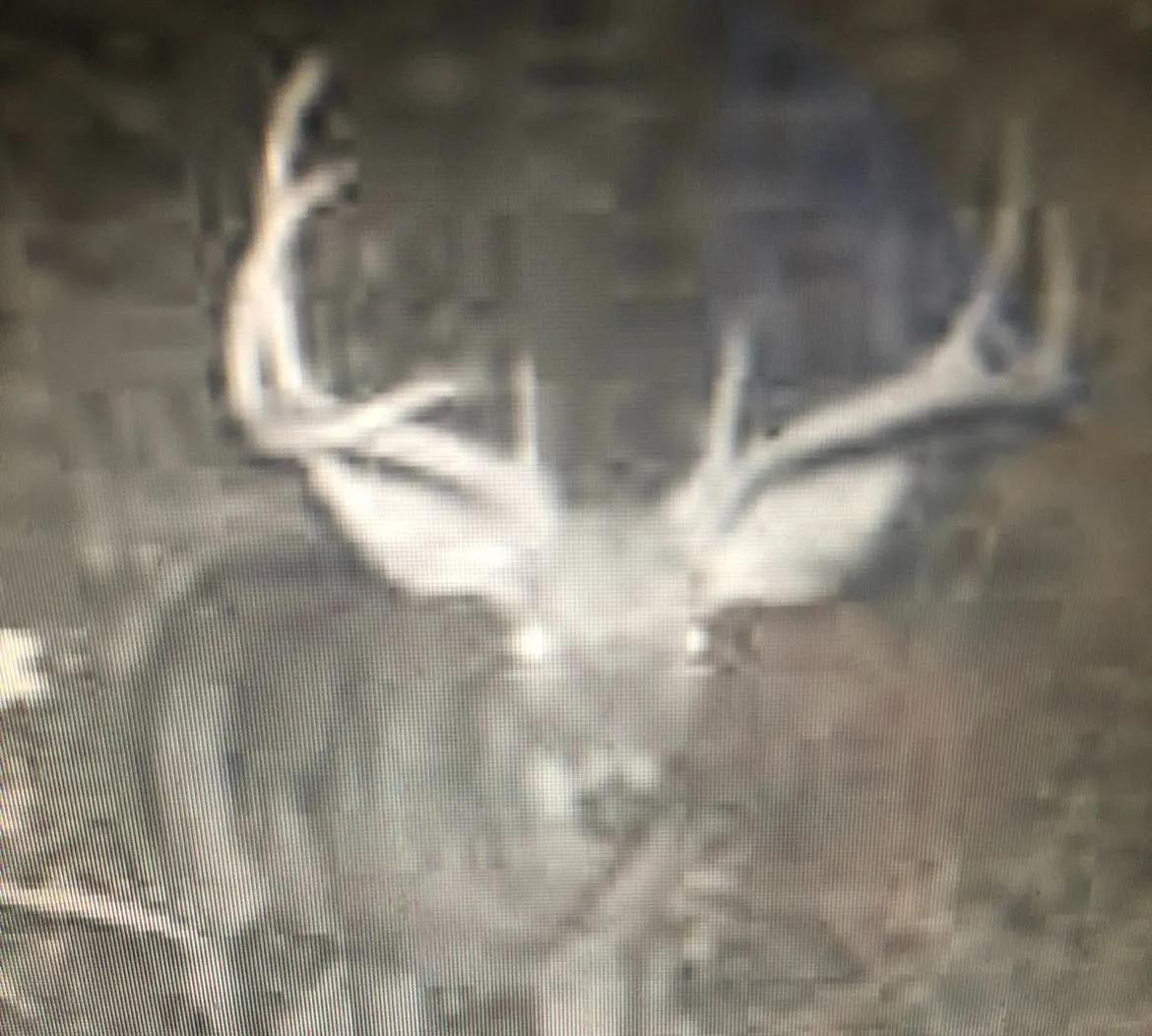 97653066-20