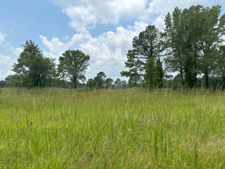 216.00 Acres at 216 Causey RD