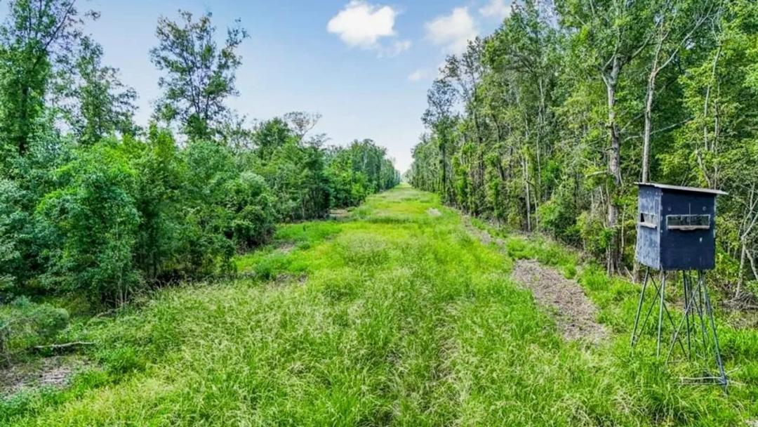 196 Acre Sportsman's Paradise Pointe Coupee Parish, LA