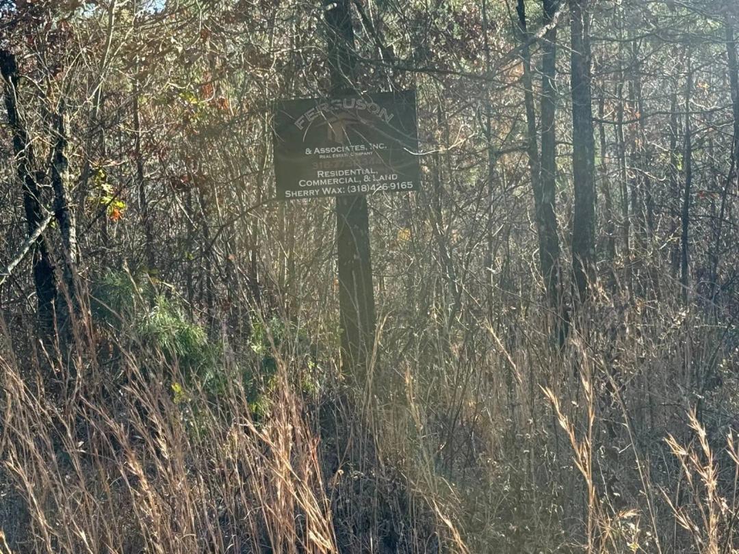 20 acres near Hatten Ar