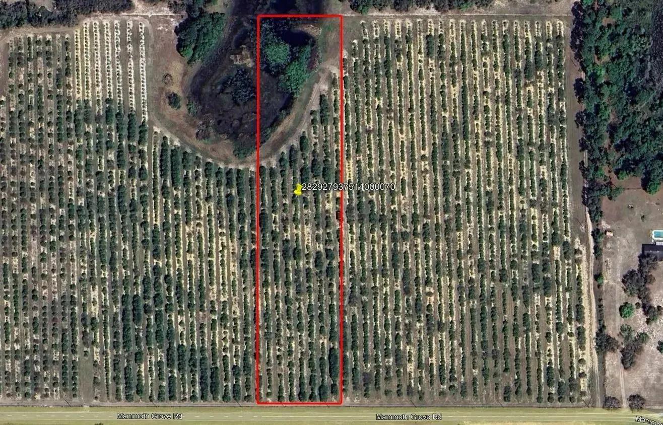 97728978-0