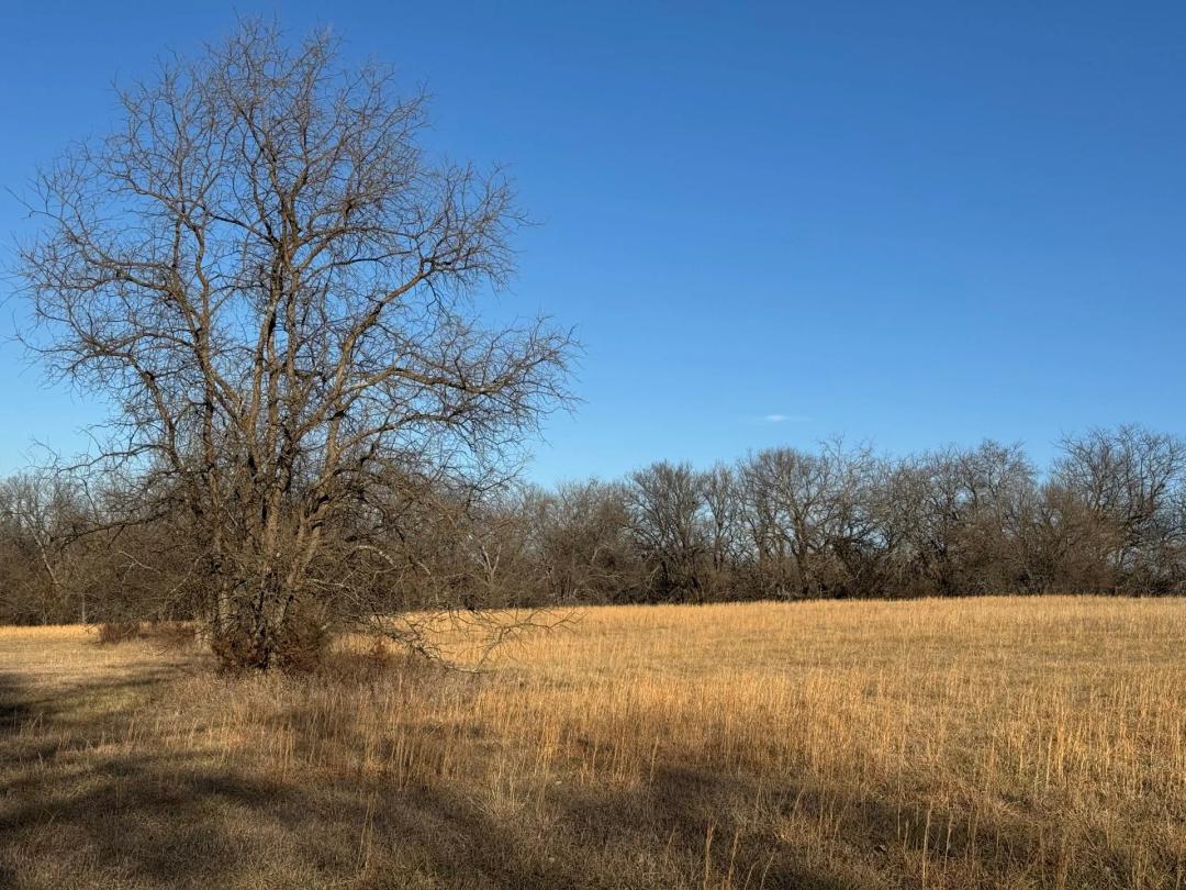 River Ridge Grassland