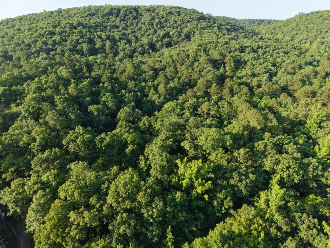 3.24 Acres in Polk County, AR 