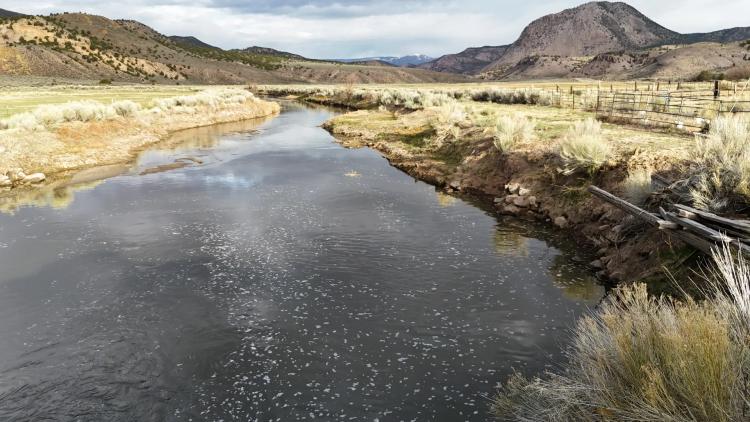 Lucky River Bottom Ranch