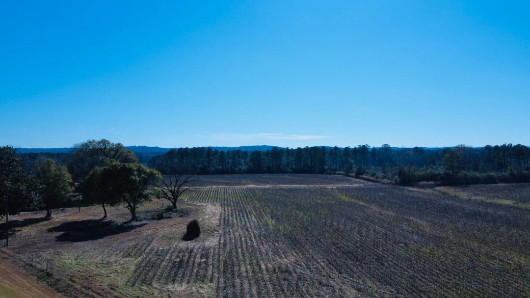 9.00 Acres at 23 County Road 223