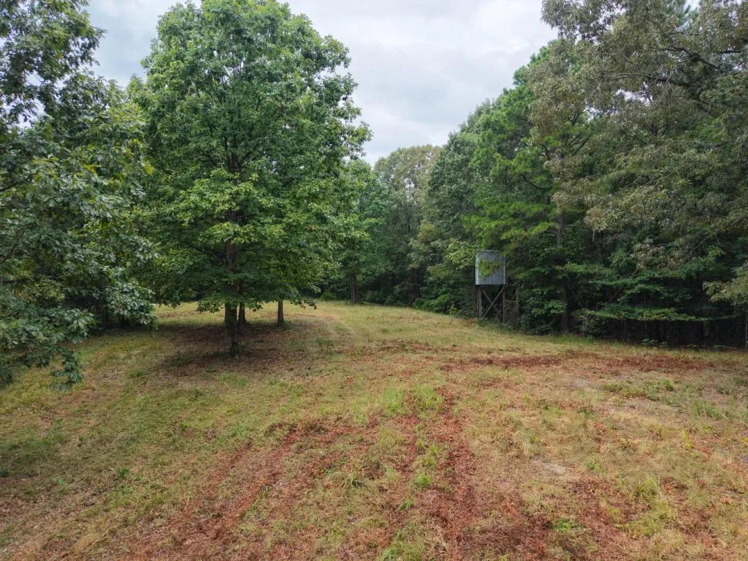 20 Acres in Polk County, AR 