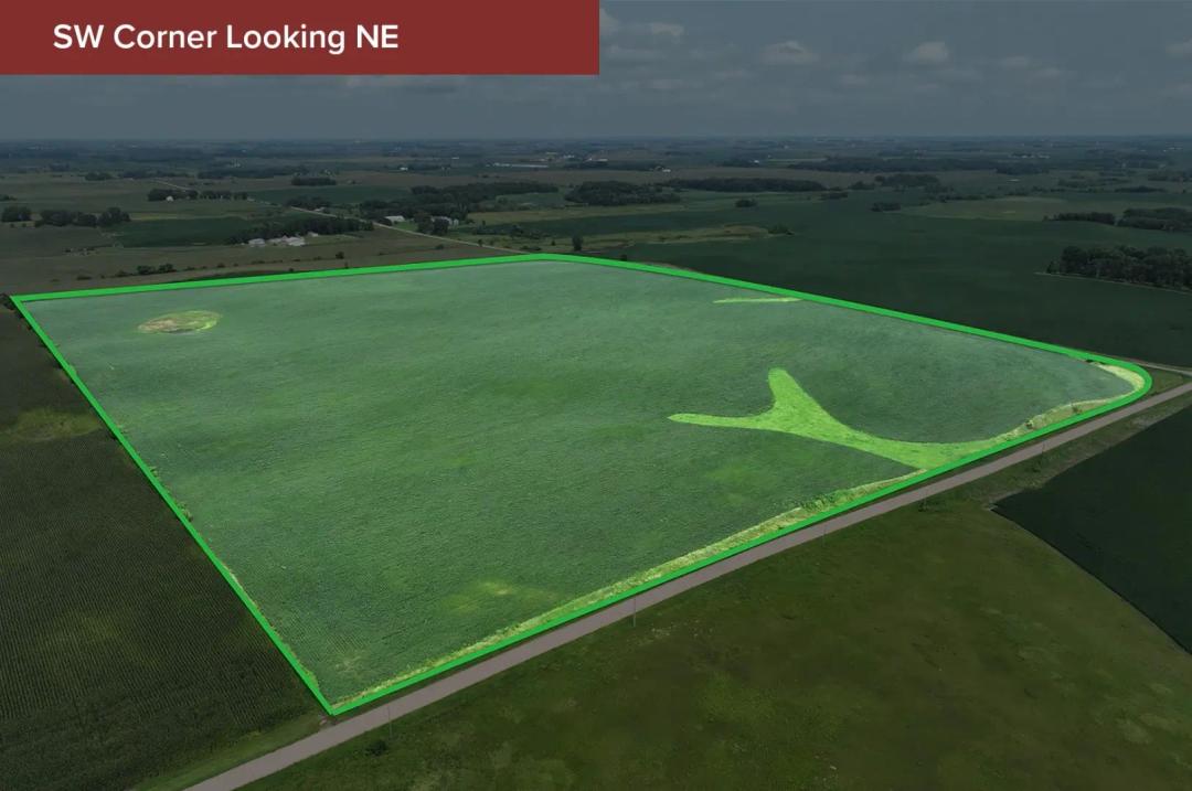 89.35± Acre Farm Auction Waseca County